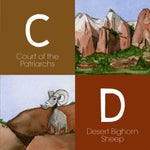 Zion's ABC's Children's Book